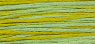 Pistachio 2206