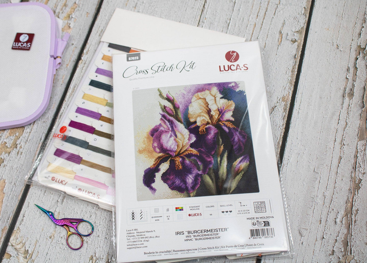 Iris “Burgermeister”