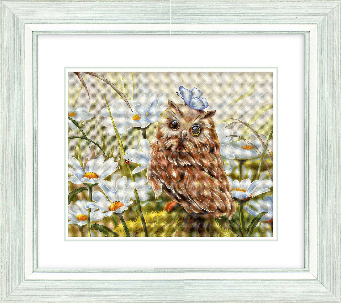 Lucky Owl