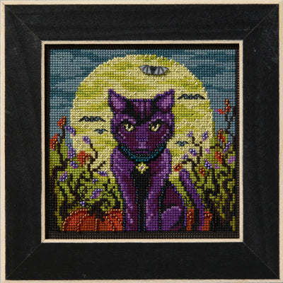 Spooky Cat