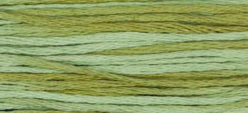 Dried Sage 1191