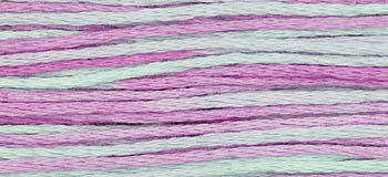 Blue Aster 2306