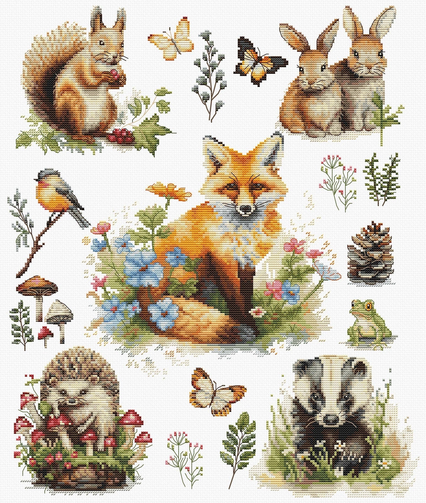 Forest Animals