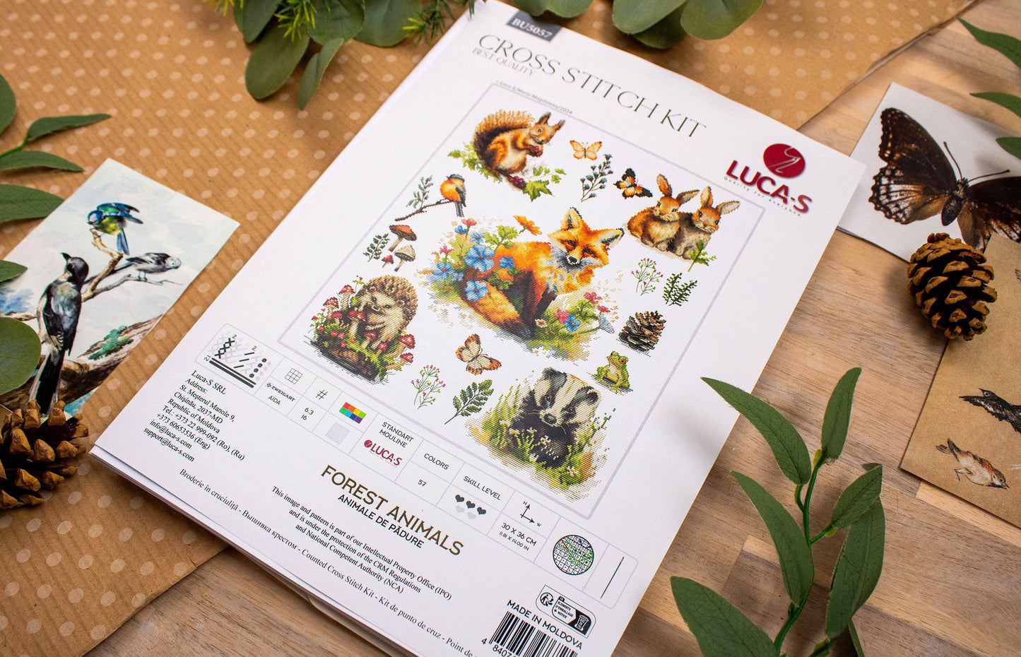 Forest Animals