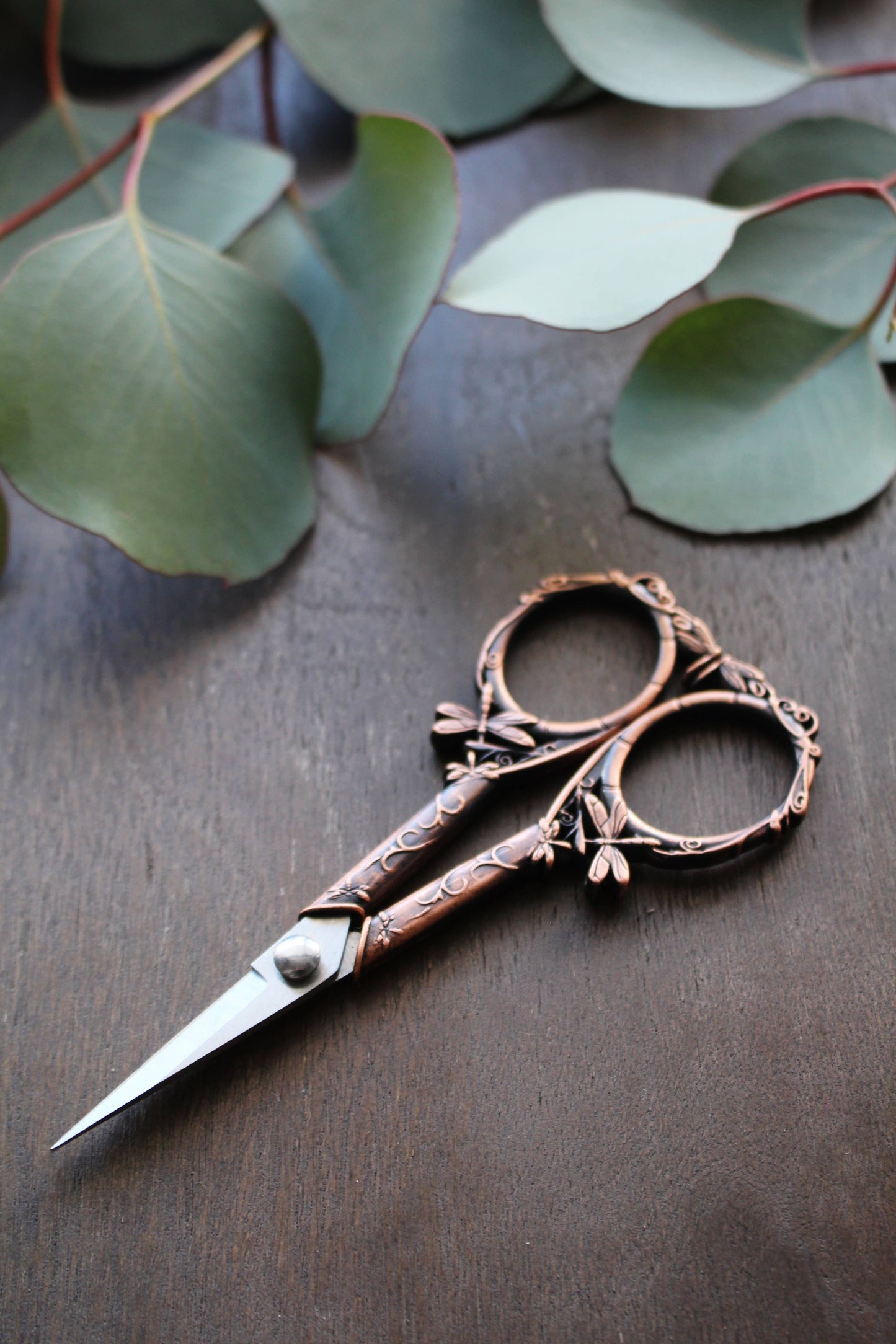 Dragonfly Scissors (Set of 3)