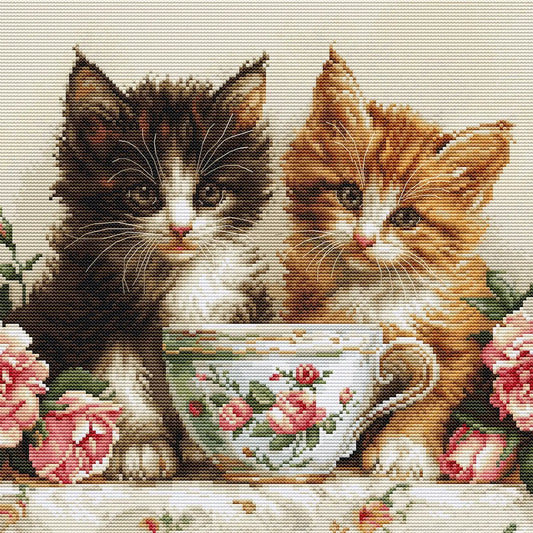 Morning of the Cats
