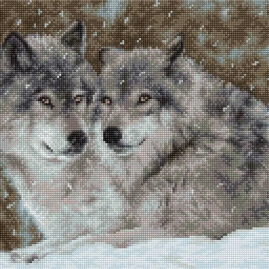 Wolves Couple