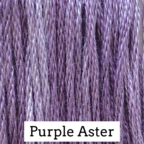 Purple Aster