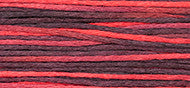 Ladybug 2267