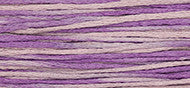 Sweet Pea 2296